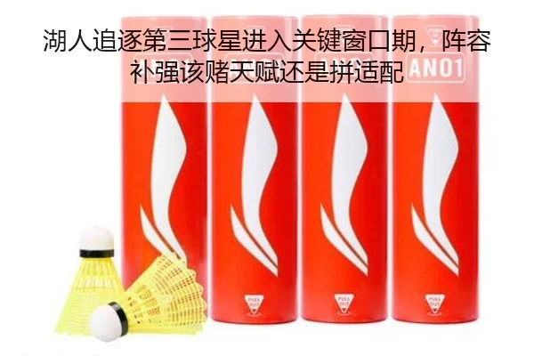 湖人追逐第三球星进入关键窗口期，阵容补强该赌天赋还是拼适配（maiqiuwang）